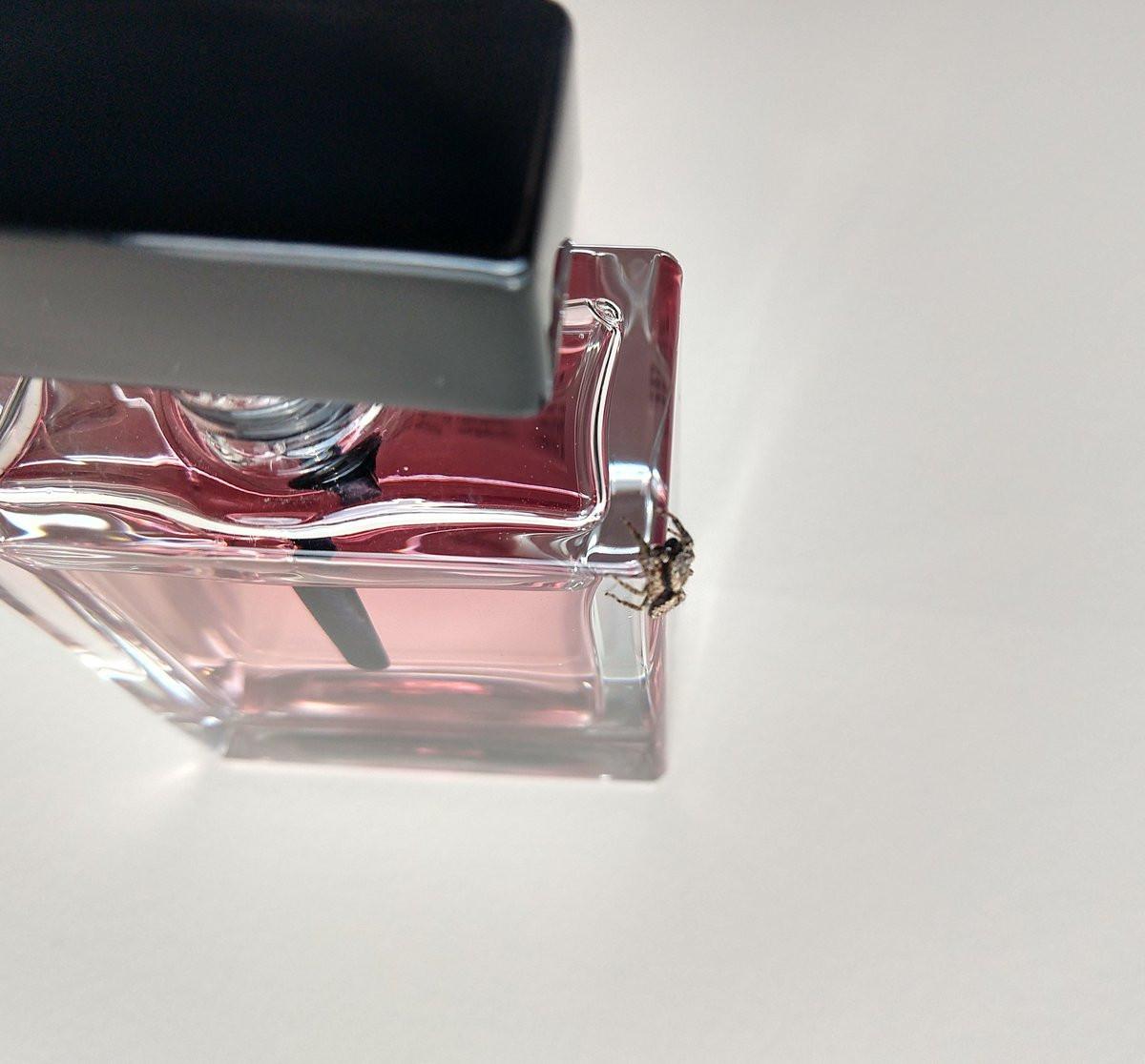 عطر ادکلن نارسیسو رودریگز فور هر اویل ماسک پرفیوم نارسیسو رودریگز - Narciso Rodriguez For Her Oil Musc Parfum Narciso Rodriguez - بررسی، قیمت و خرید