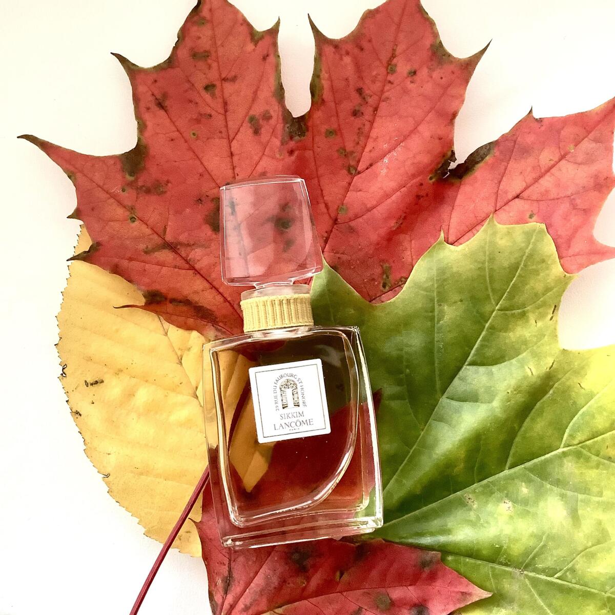 عطر ادکلن سیکیم لانکوم - Sikkim Lancôme - بررسی، قیمت و خرید