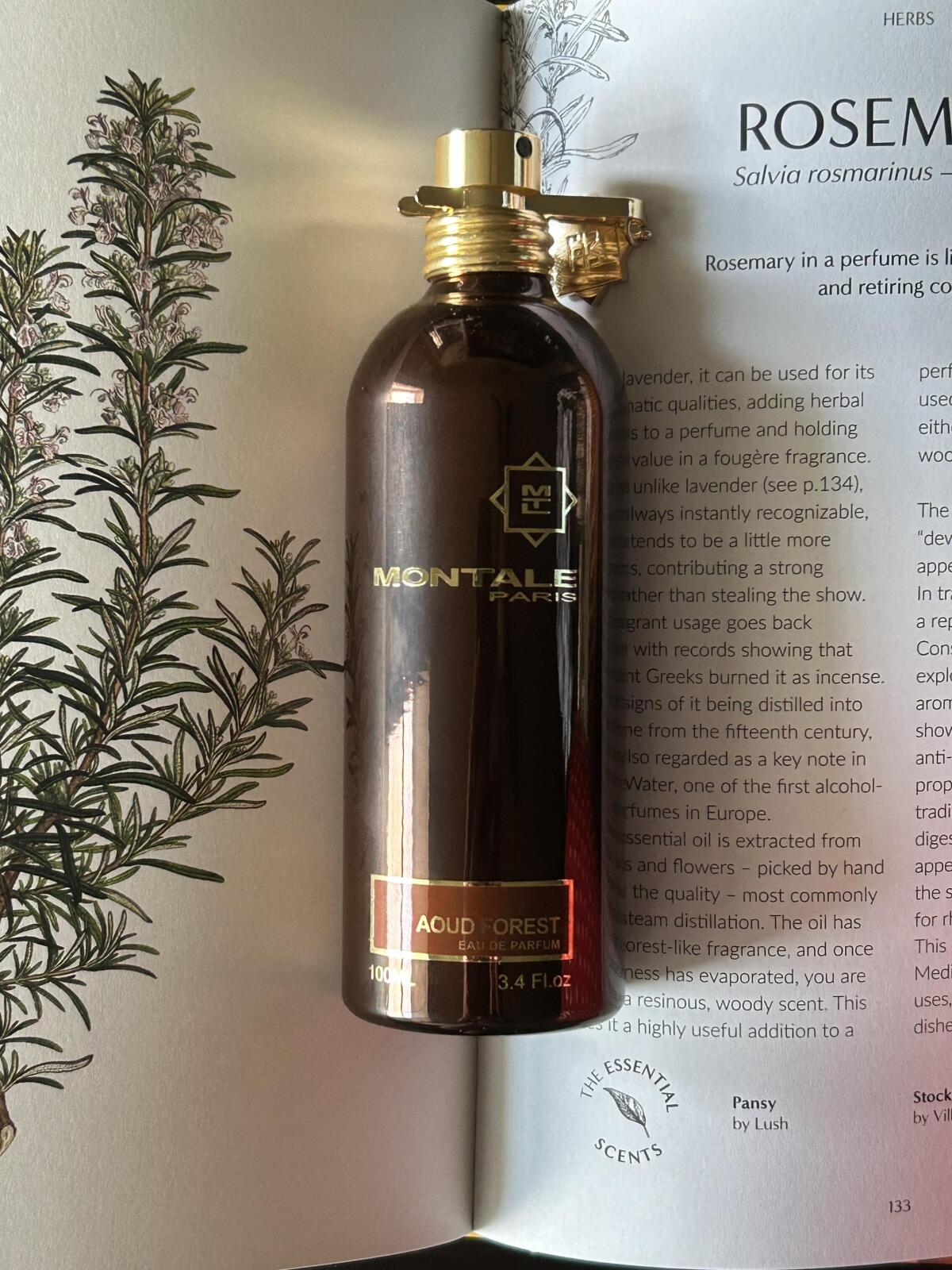 عطر ادکلن آود فورست مونتال - Aoud Forest Montale - بررسی، قیمت و خرید