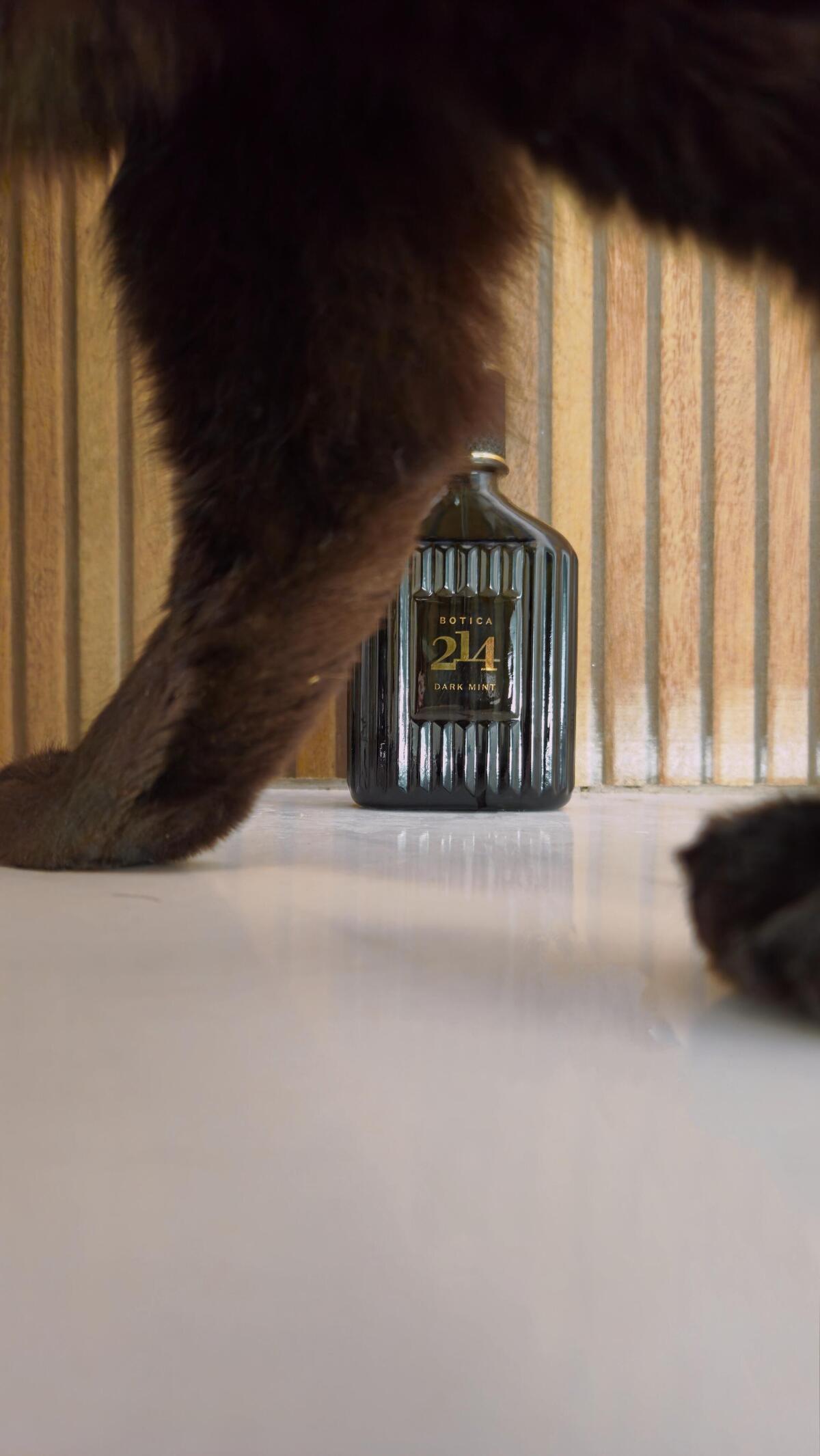 عطر ادکلن بوتیکا دویست و چهارده دارک مینت بوتیکاریو - Botica 214 Dark Mint O Boticário - بررسی، قیمت و خرید