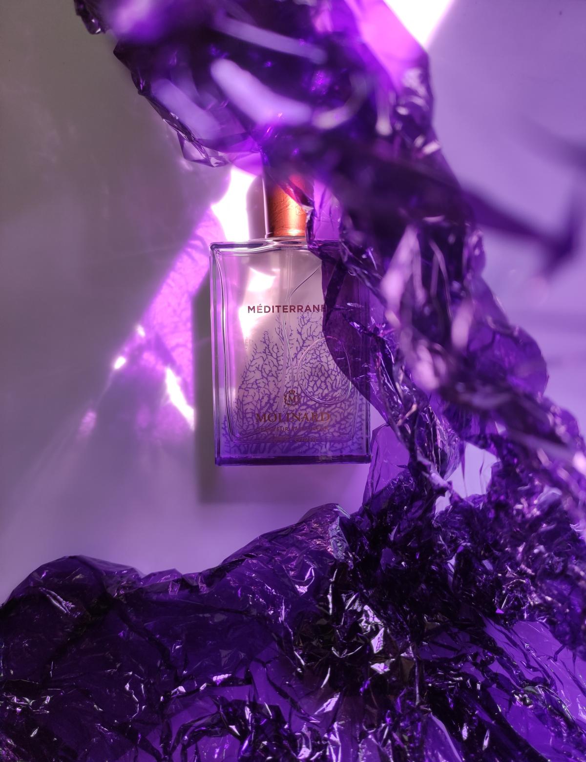 عطر ادکلن مدیترانه مولینارد - Méditerranée Molinard - بررسی، قیمت و خرید