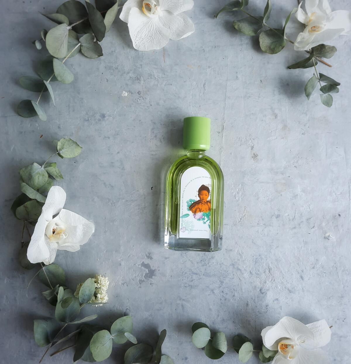 عطر ادکلن موس آراشیاما لجردن رترووه - Mousse Arashiyama Le Jardin Retrouve - بررسی، قیمت و خرید