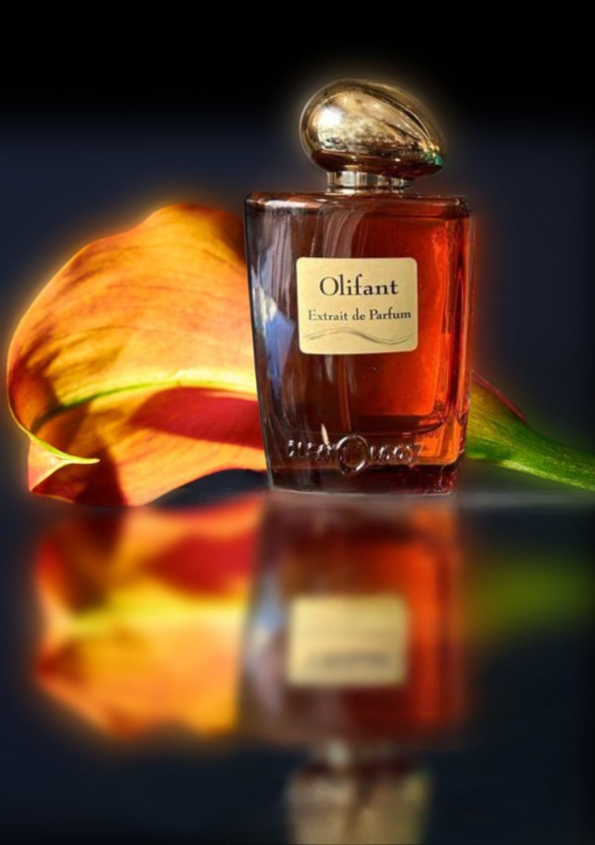 عطر ادکلن اولیفانت اولفتولوژی - Olifant Olfattology - بررسی، قیمت و خرید