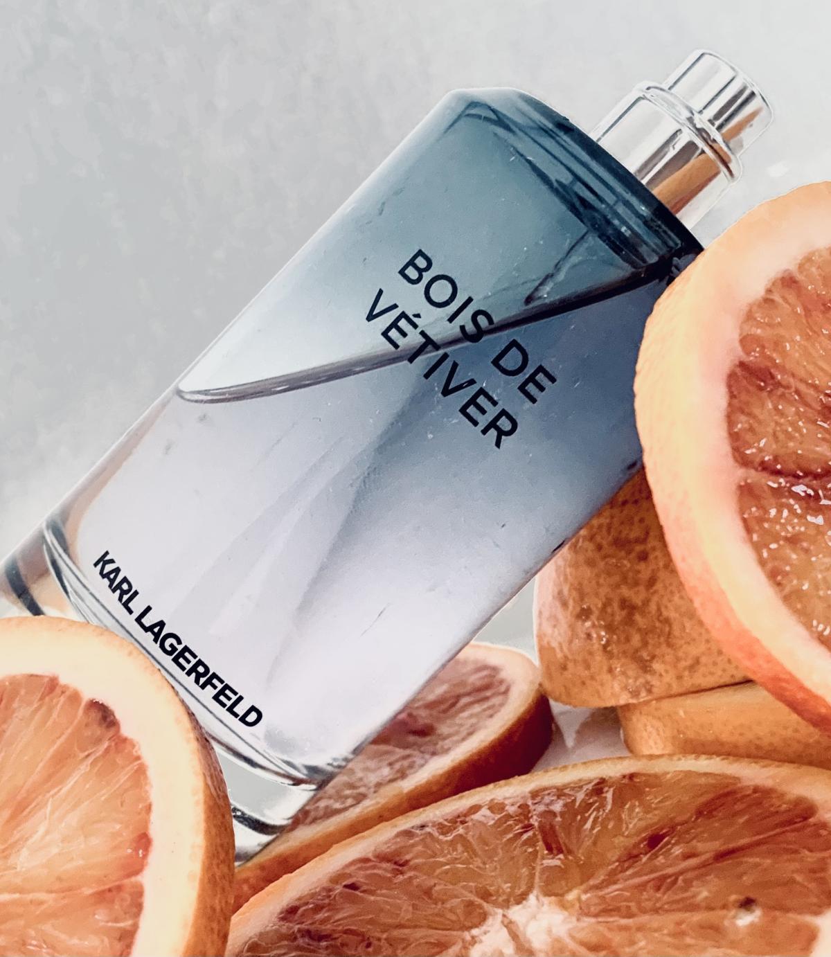 عطر ادکلن بوا دو وتیور کارل لاگرفلد - Bois de Vetiver Karl Lagerfeld - بررسی، قیمت و خرید