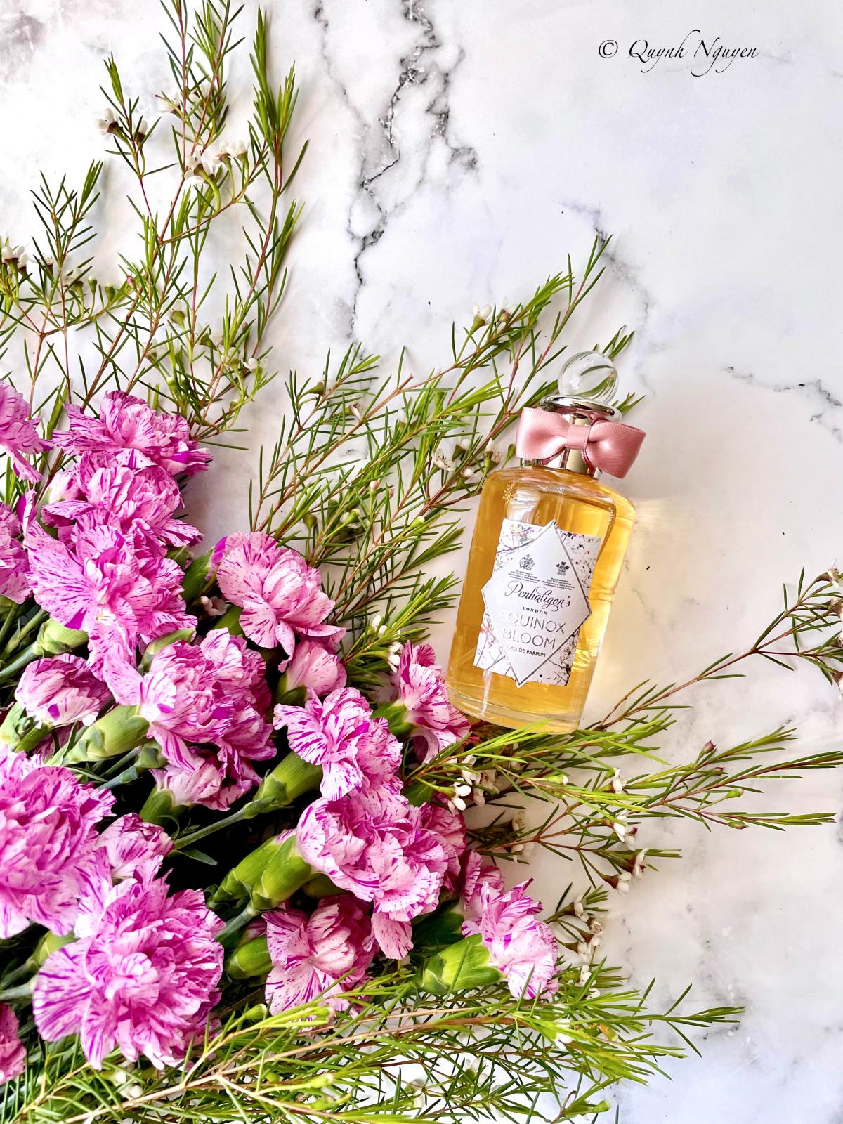 عطر ادکلن ایکوی‌ناکس بلوم پنالیگونز - Equinox Bloom Penhaligon's - بررسی، قیمت و خرید