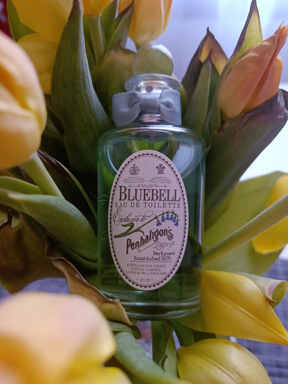 عطر ادکلن بلوبل پن‌هالیگونز - Bluebell Penhaligon's - بررسی، قیمت و خرید