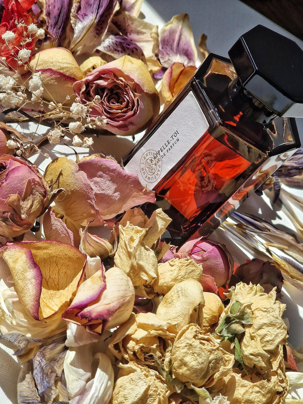 عطر ادکلن راپل توآ لارتیزان پرفیومر - Rappelle-Toi L'Artisan Parfumeur - بررسی، قیمت و خرید