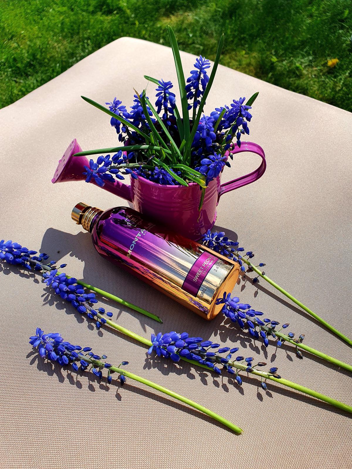 عطر ادکلن سویت پئونی مانتال - Sweet Peony Montale - بررسی، قیمت و خرید