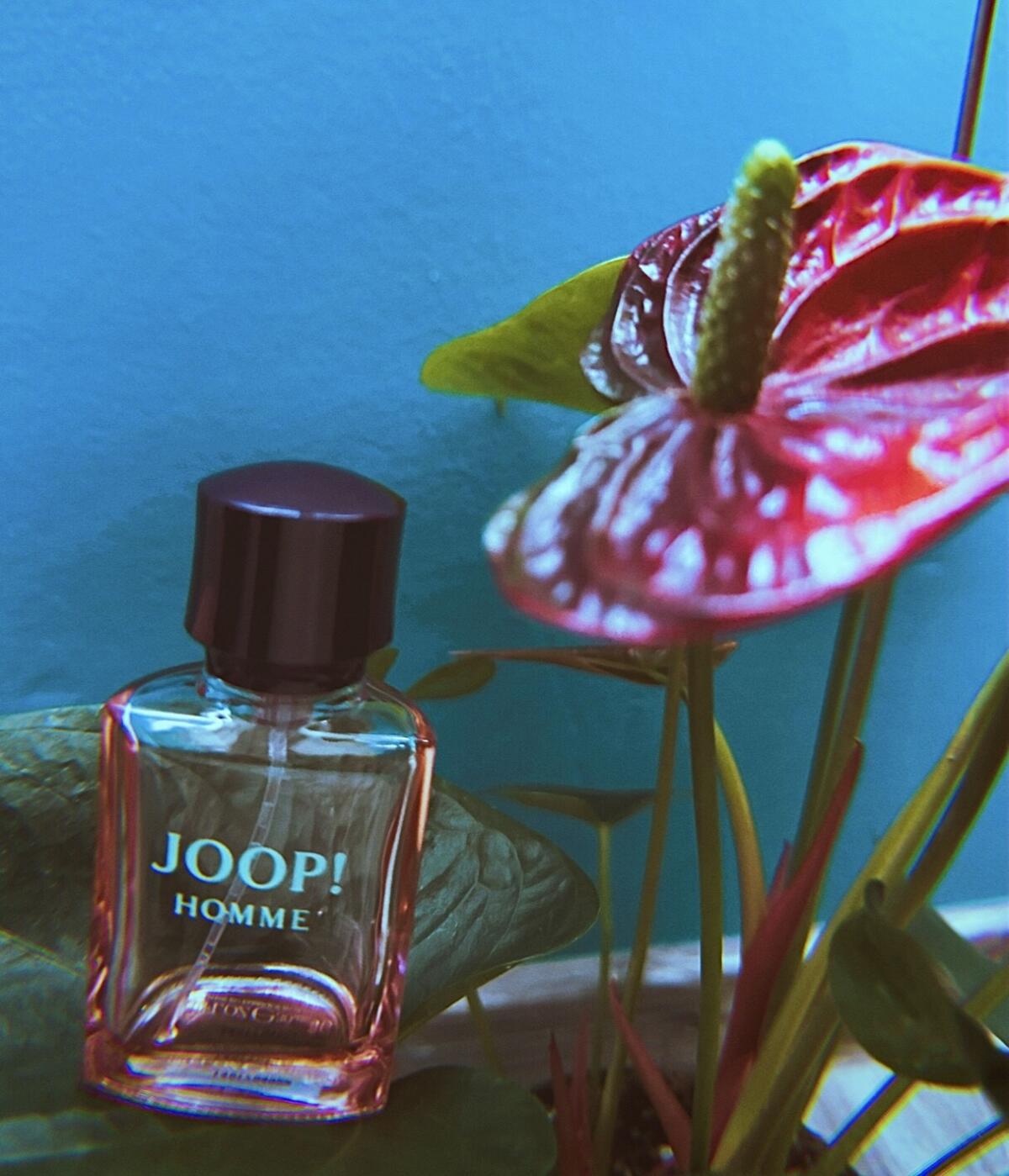 عطر ادکلن جوپ اوم جوپ - Joop! Homme Joop! - بررسی، قیمت و خرید