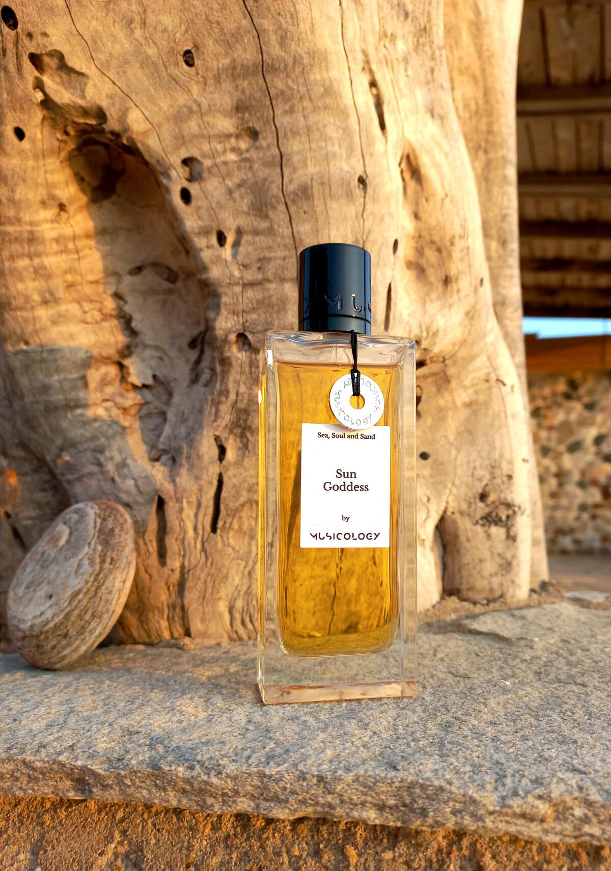 عطر ادکلن سان گادس میوزیکولوژی - Sun Goddess Musicology - بررسی، قیمت و خرید