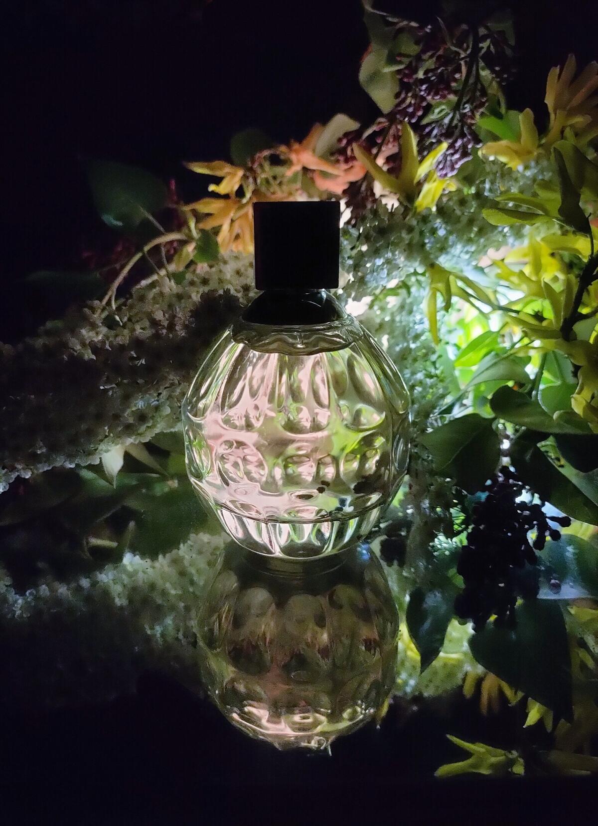 عطر ادکلن جیمی چو او دو تویلت جیمی چو - Jimmy Choo Eau de Toilette Jimmy Choo - بررسی، قیمت و خرید