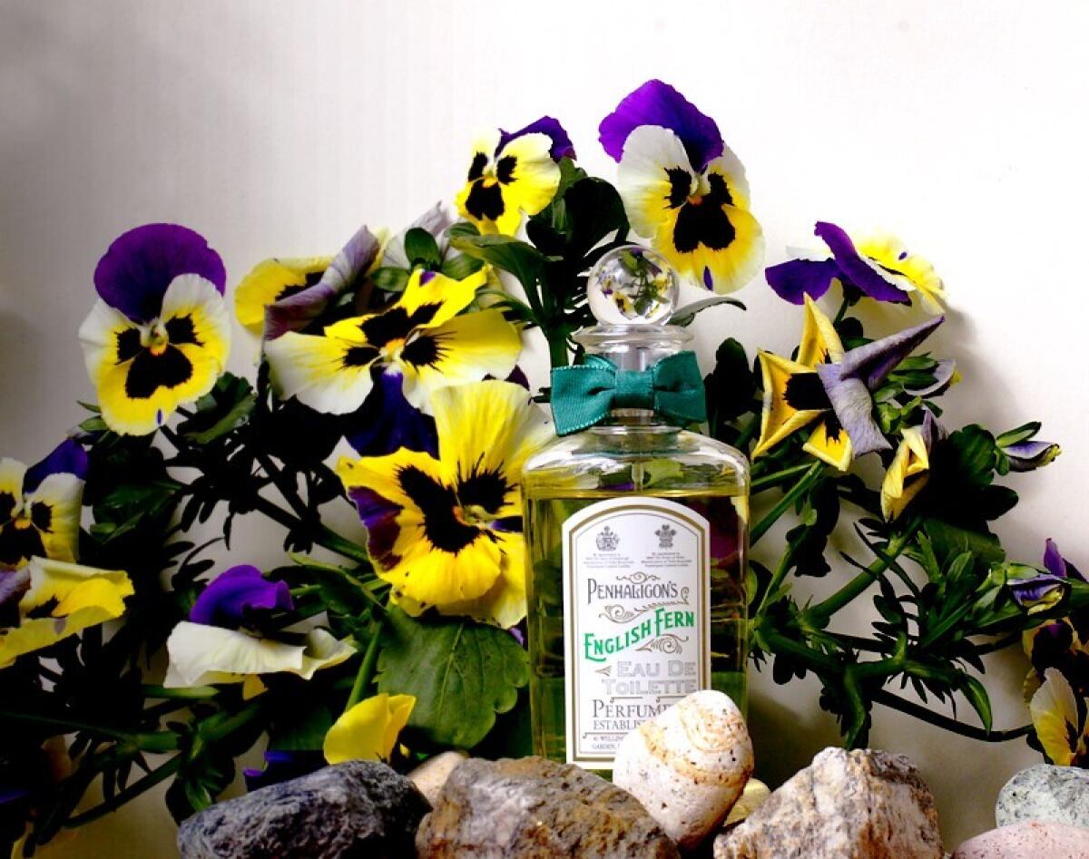 عطر ادکلن ایکوی‌ناکس بلوم پنالیگونز - Equinox Bloom Penhaligon's - بررسی، قیمت و خرید
