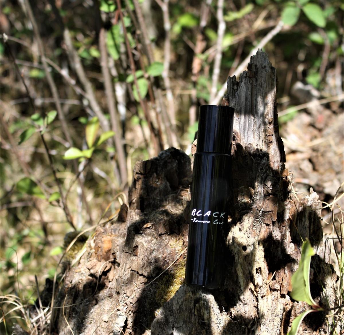 عطر ادکلن کنت کول بلک فور من کنث کول - Kenneth Cole Black for Men Kenneth Cole - بررسی، قیمت و خرید