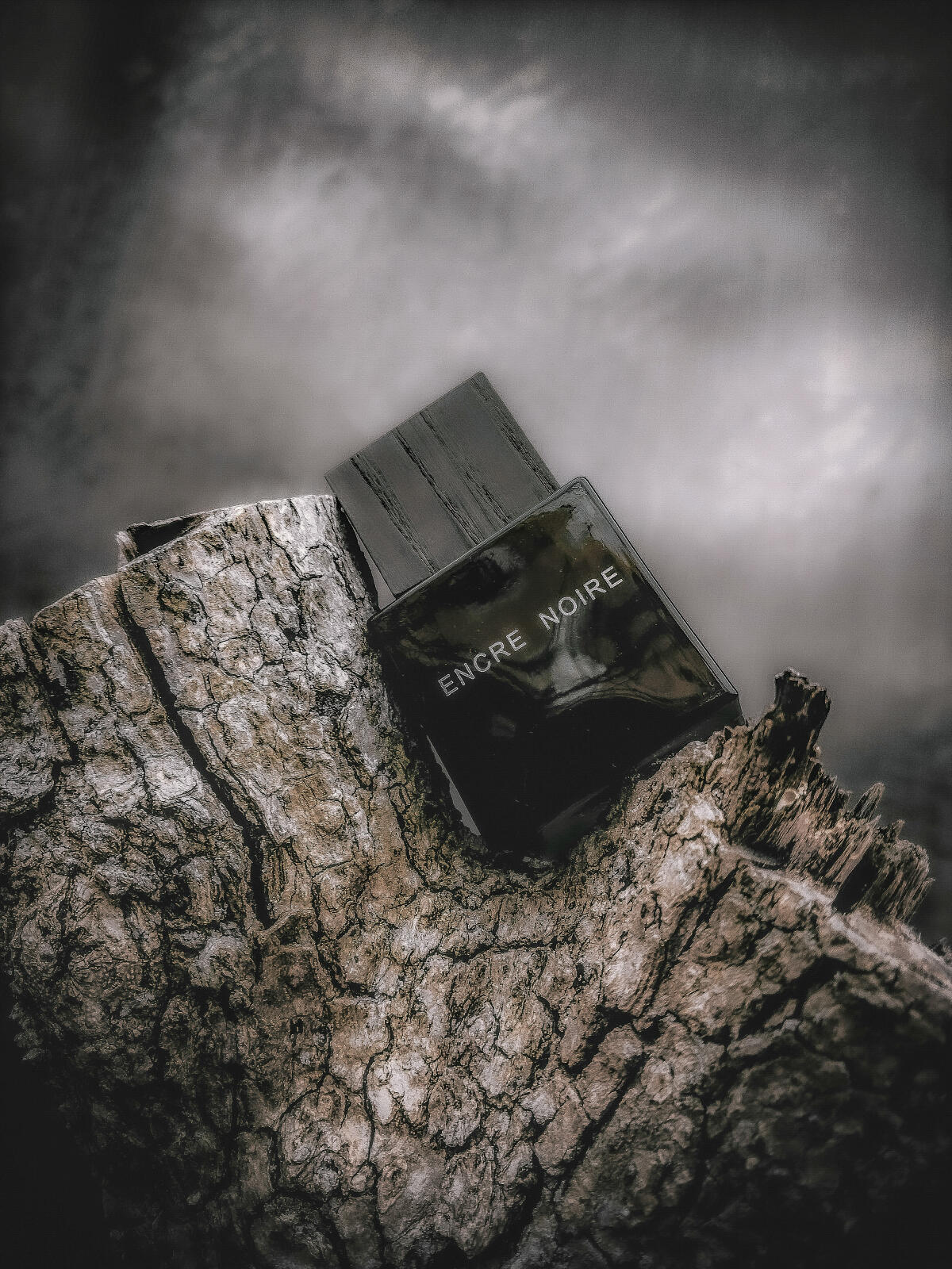 عطر ادکلن آنکر نوآر لالیک - Encre Noire Lalique - بررسی، قیمت و خرید