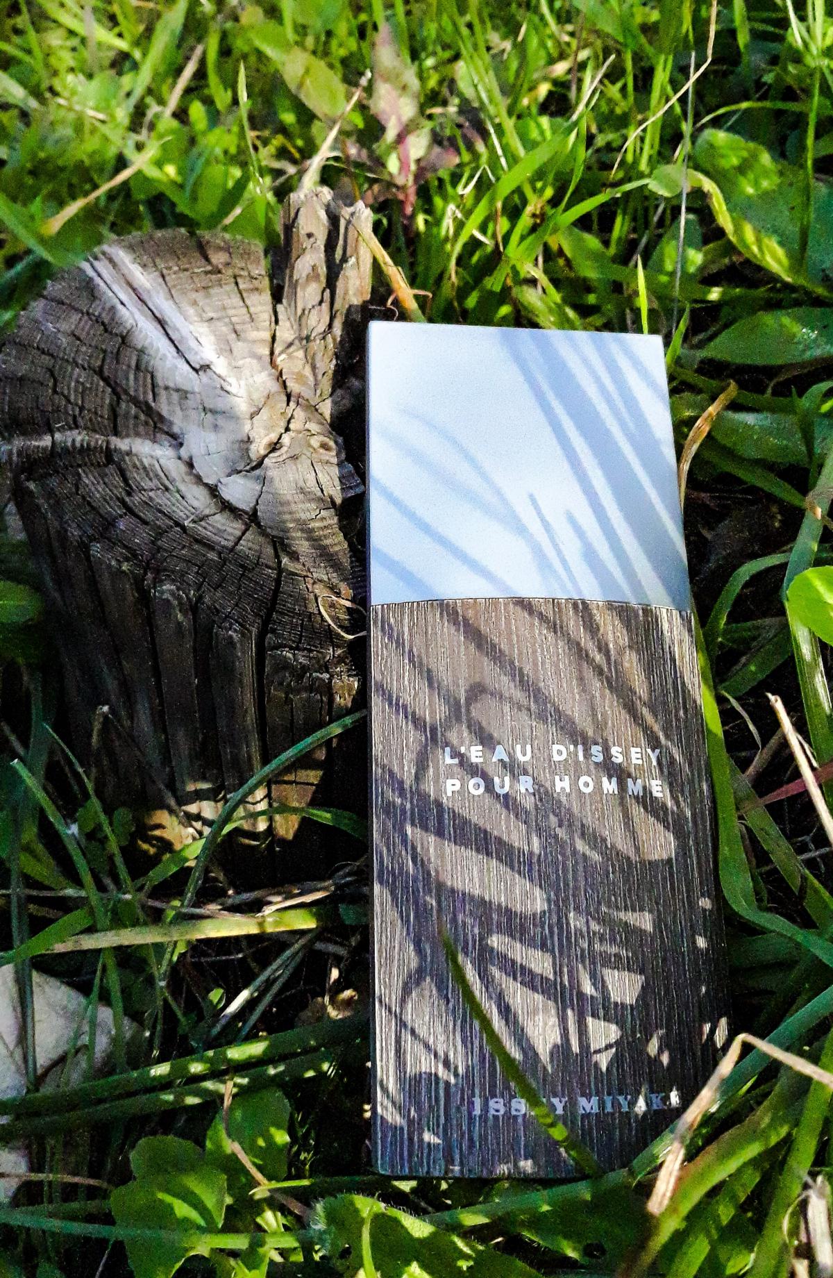 عطر ادکلن لو دیسی پور هوم ادیشن بوا ایسی میاکه - L’Eau d’Issey pour Homme Edition Bois Issey Miyake - بررسی، قیمت و خرید