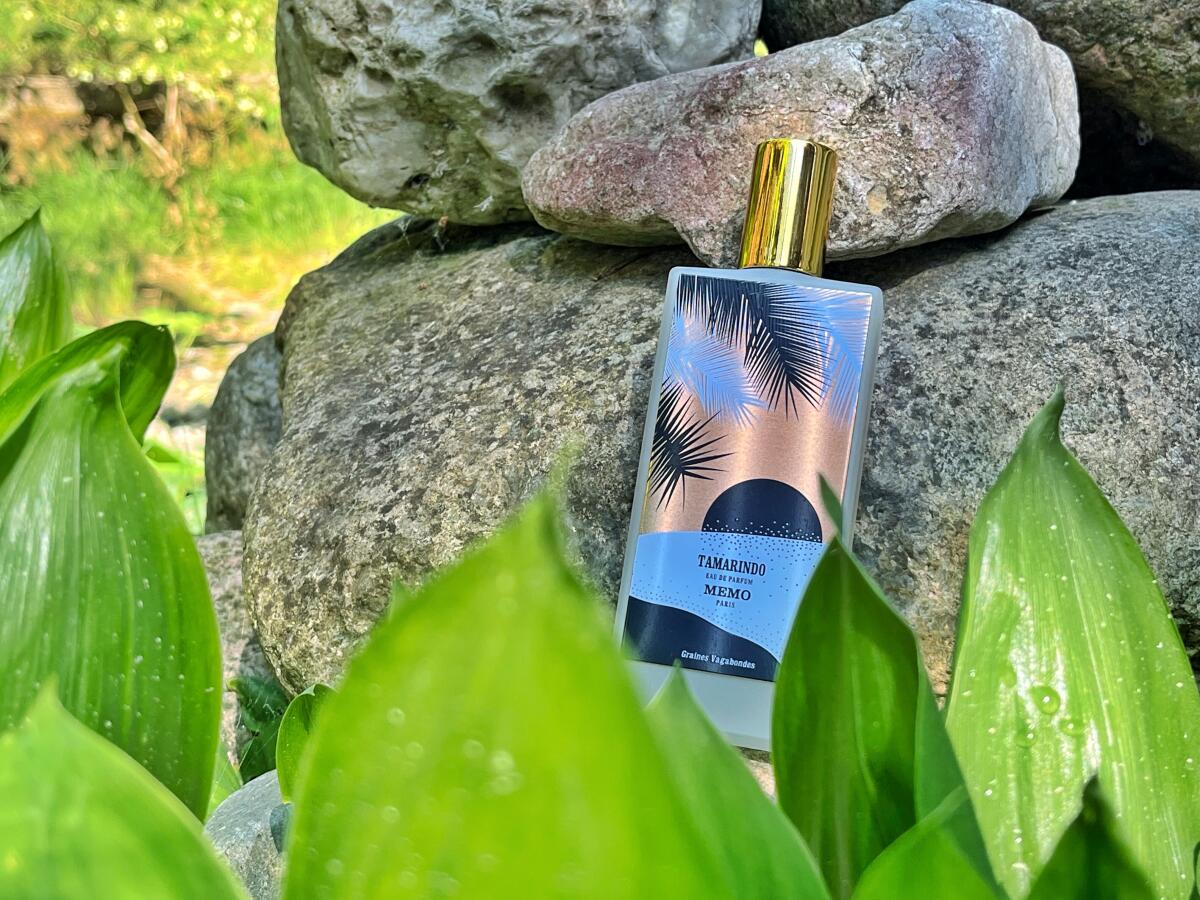 عطر ادکلن تاماریندو ممو پاریس - Tamarindo Memo Paris - بررسی، قیمت و خرید