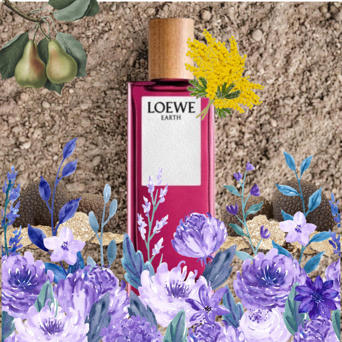 عطر ادکلن اِرث لووه - Earth Loewe - بررسی، قیمت و خرید