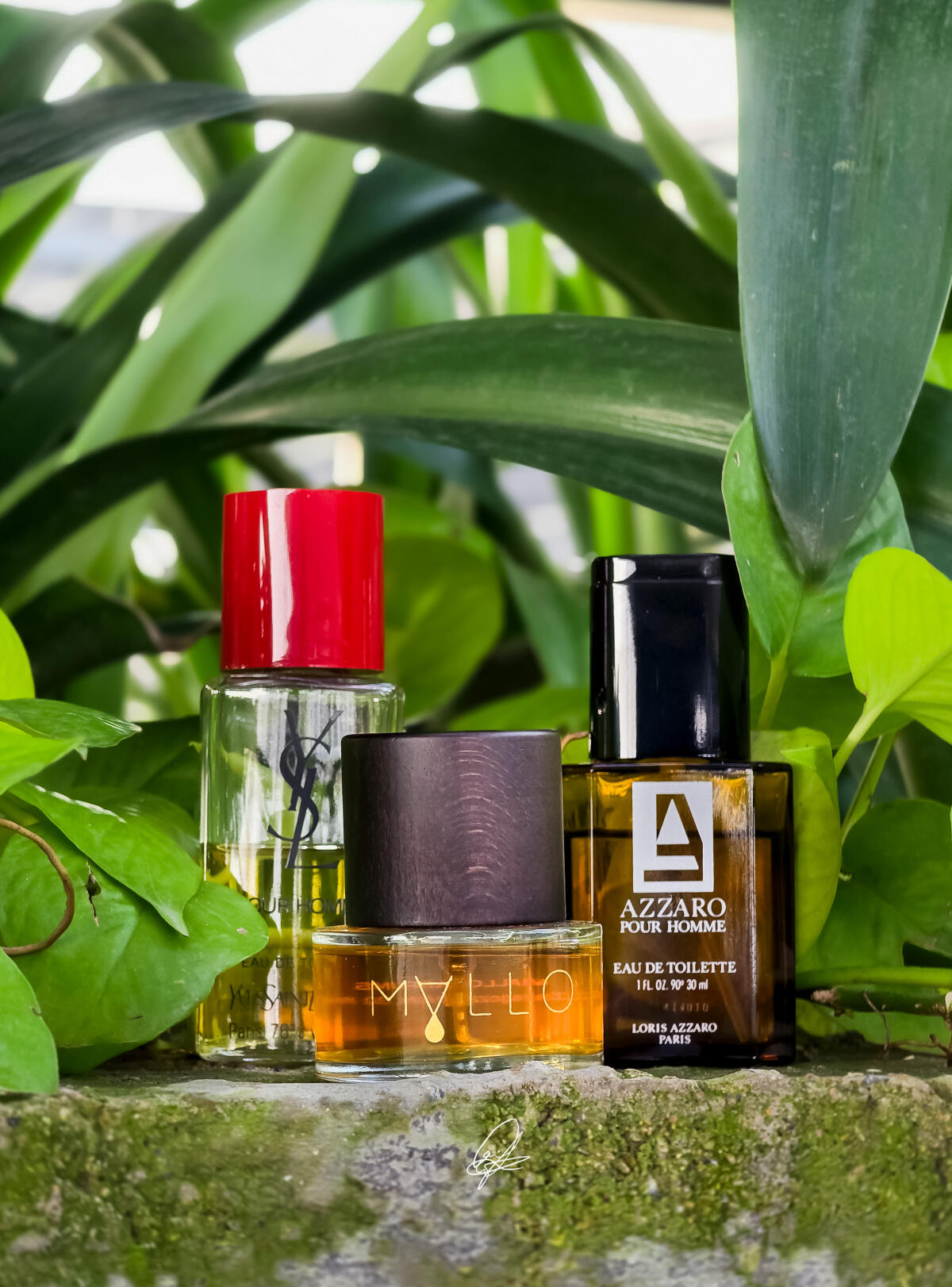 عطر ادکلن آرک مالو - ARC Mallo - بررسی، قیمت و خرید