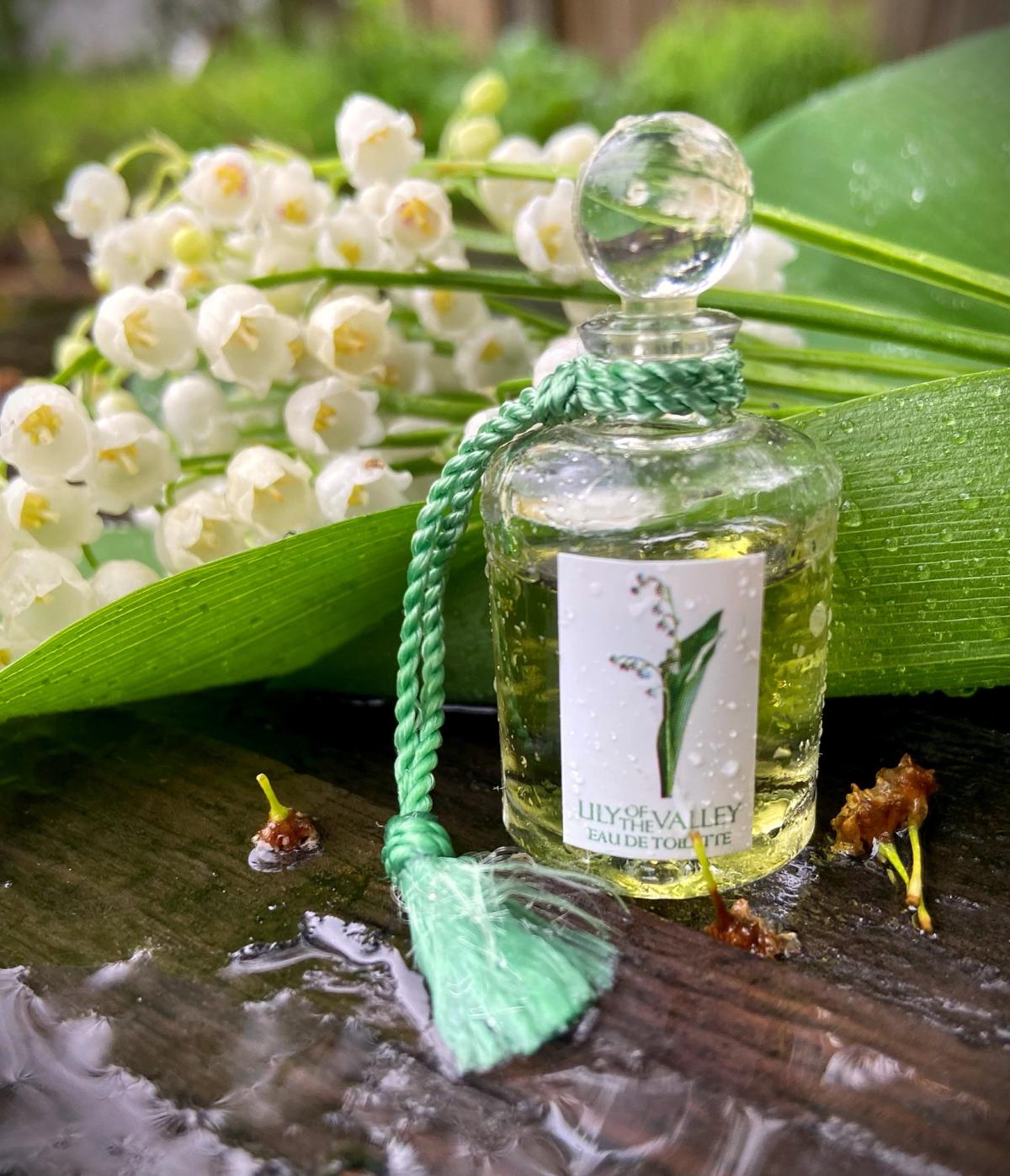 عطر ادکلن لیلی آو د ولی پنهالیگونز - Lily of the Valley Penhaligon's - بررسی، قیمت و خرید