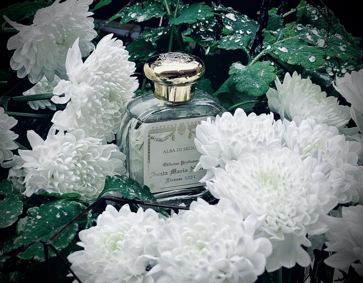 عطر ادکلن آلبا دی سئول سانتا ماریا نوولا - Alba di Seoul Santa Maria Novella - بررسی، قیمت و خرید