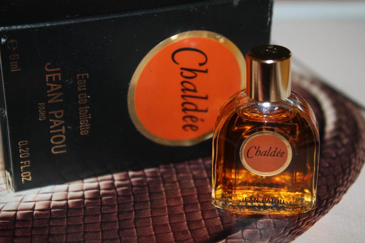 عطر ادکلن کالدی ژان پاتو - Chaldee Jean Patou - بررسی، قیمت و خرید