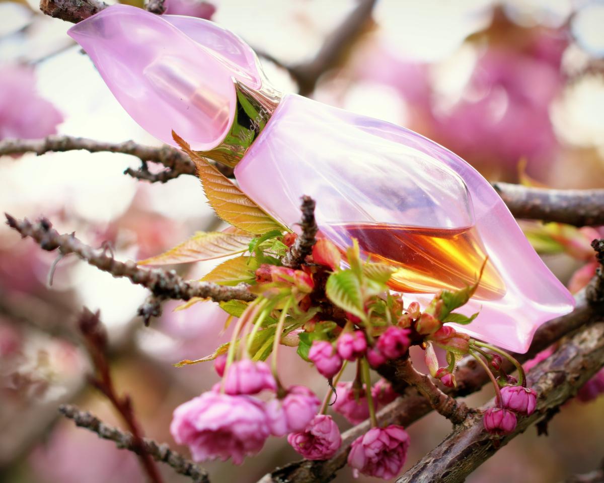 عطر ادکلن لوکوم او پودره کیکو میچری - Loukhoum Eau Poudree Keiko Mecheri - بررسی، قیمت و خرید