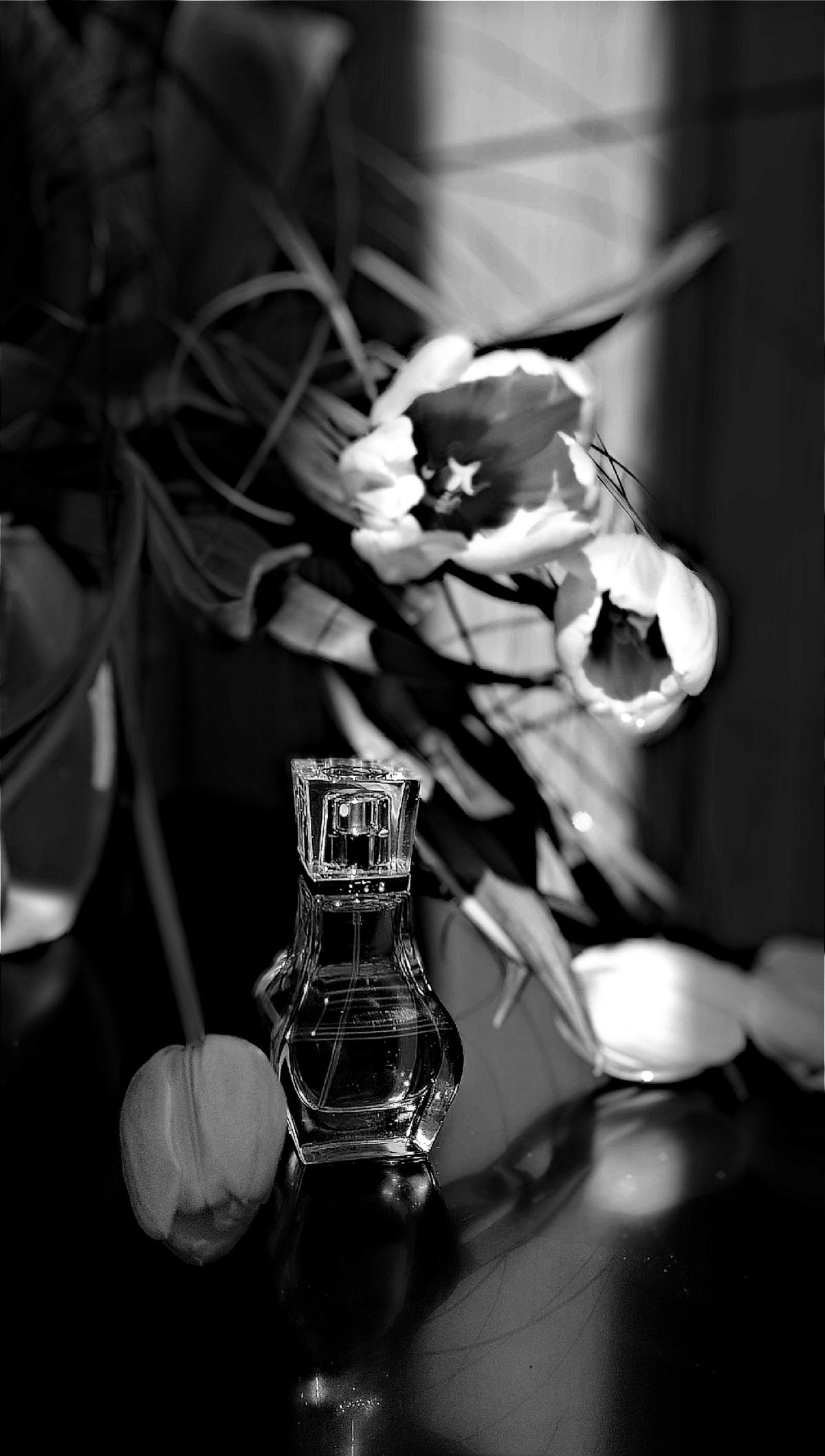 عطر ادکلن پارفوم دو فم مونتانا - Parfum de Femme Montana - بررسی، قیمت و خرید