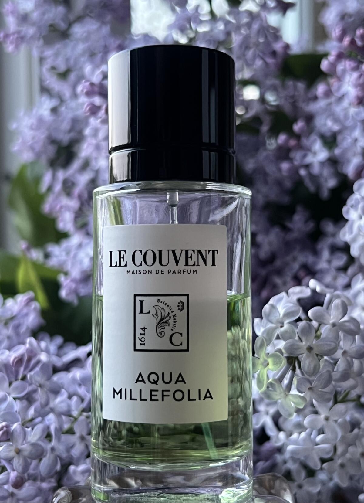 عطر ادکلن آکوا میلِفولیا لو کوونت مزون دو پارفوم - Aqua Millefolia Le Couvent Maison de Parfum - بررسی، قیمت و خرید