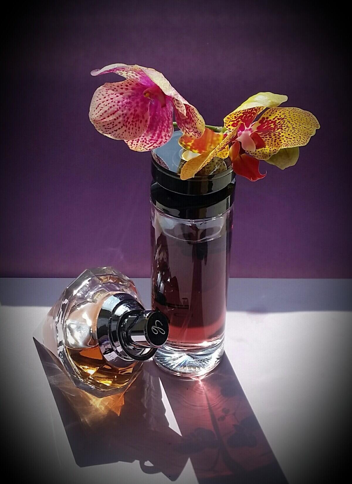 عطر ادکلن پلیس دارک ومن پلیس - Police Dark Women Police - بررسی، قیمت و خرید