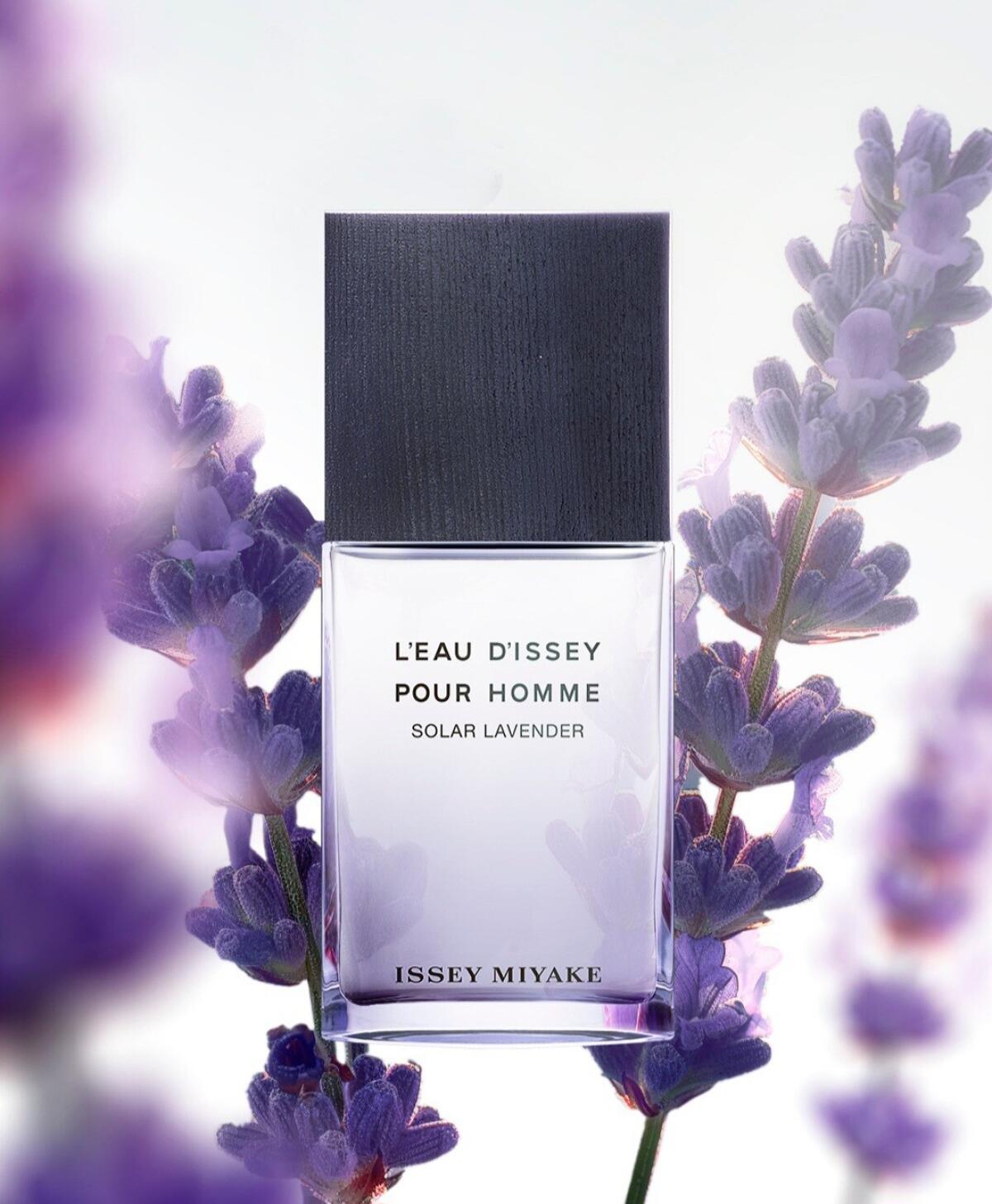 عطر ادکلن لو د ایسه پور اوم سولار لاوندر ایسه میاکه - L'Eau d'Issey pour Homme Solar Lavender Issey Miyake - بررسی، قیمت و خرید