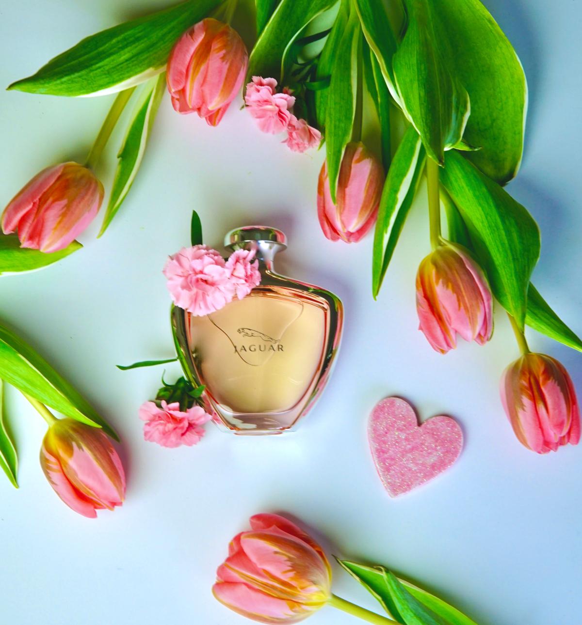 عطر ادکلن جگوار وومن جگوار - Jaguar Woman Jaguar - بررسی، قیمت و خرید