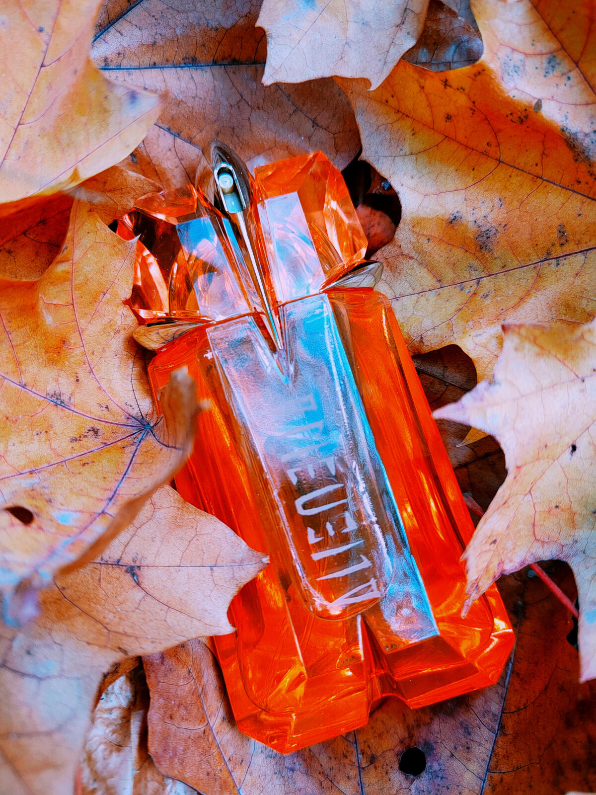 عطر ادکلن الین سانسنس ادیشن سفیر سولیل ماگلر - Alien Sunessence Edition Saphir Soleil Mugler - بررسی، قیمت و خرید