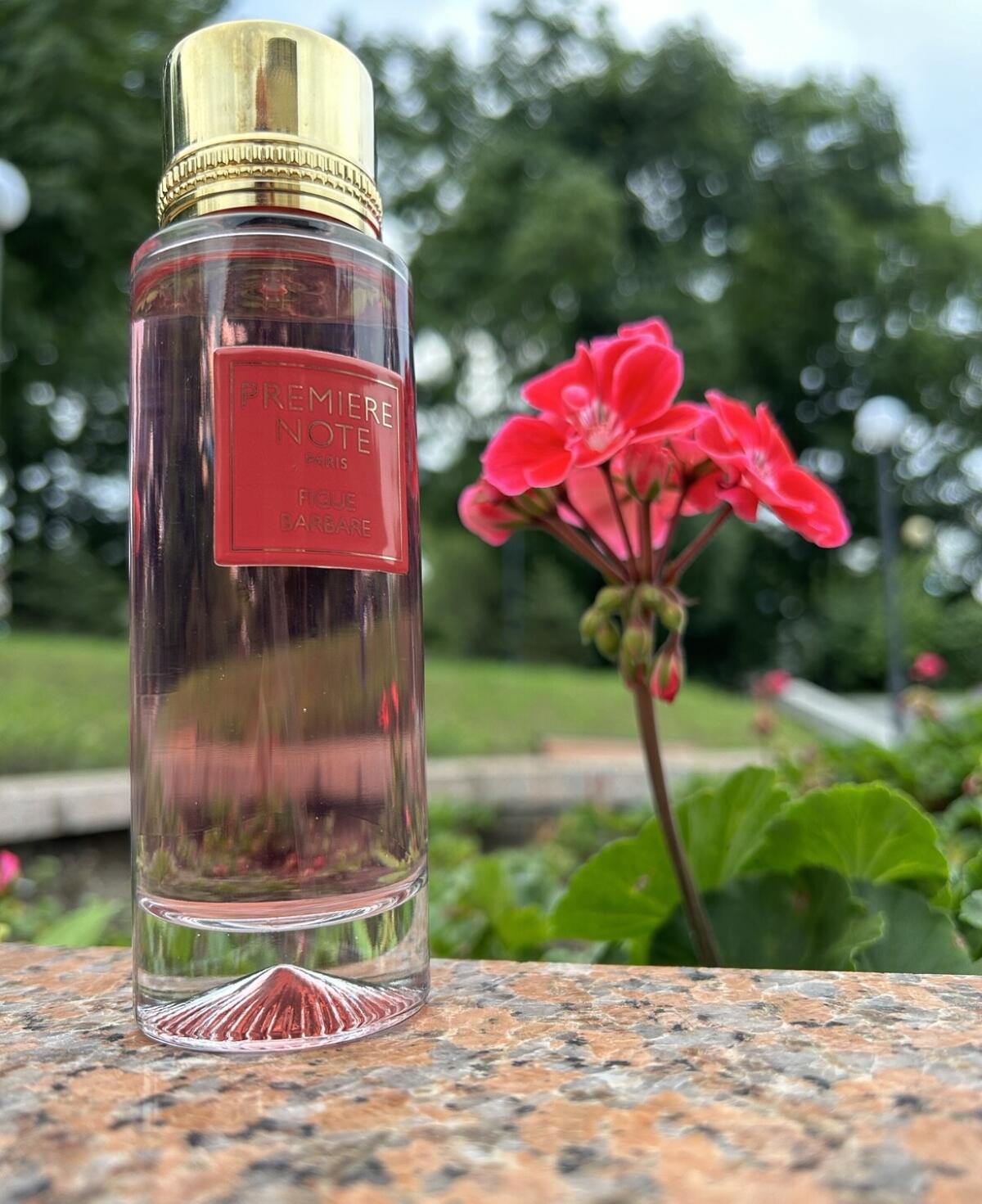 عطر ادکلن فیگو باربار پرمیر نوت - Figue Barbare Première Note - بررسی، قیمت و خرید