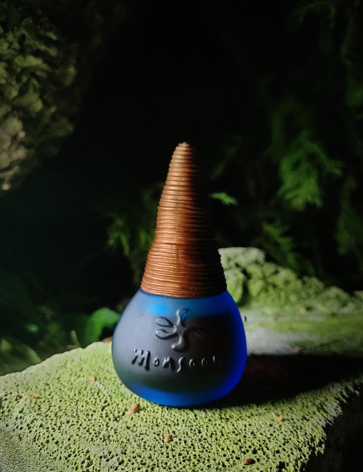 عطر ادکلن مانسون مانسون - Monsoon (original) Monsoon - بررسی، قیمت و خرید