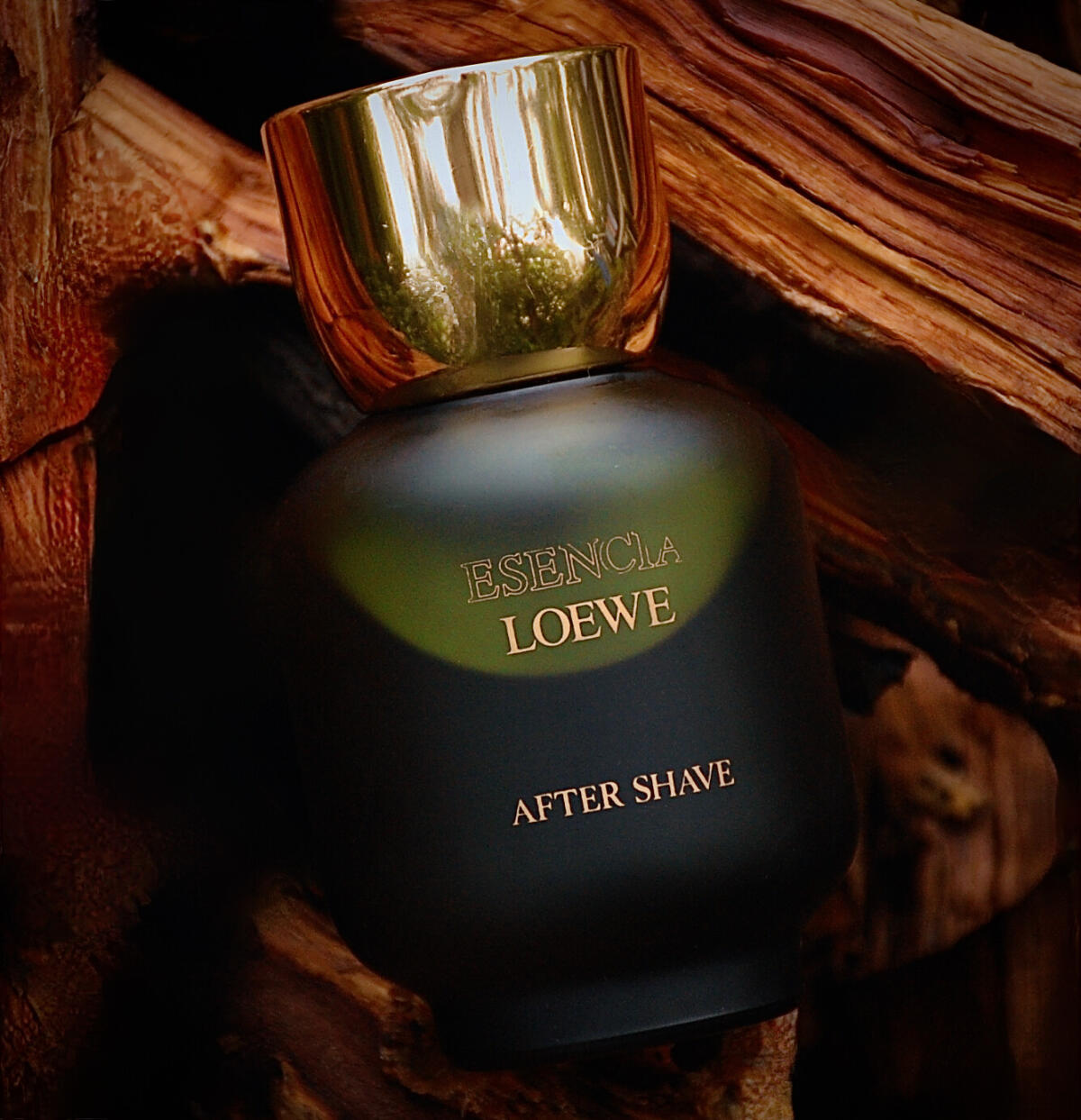 عطر ادکلن اسنسیا پور هوم لووه - Esencia pour Homme Loewe - بررسی، قیمت و خرید
