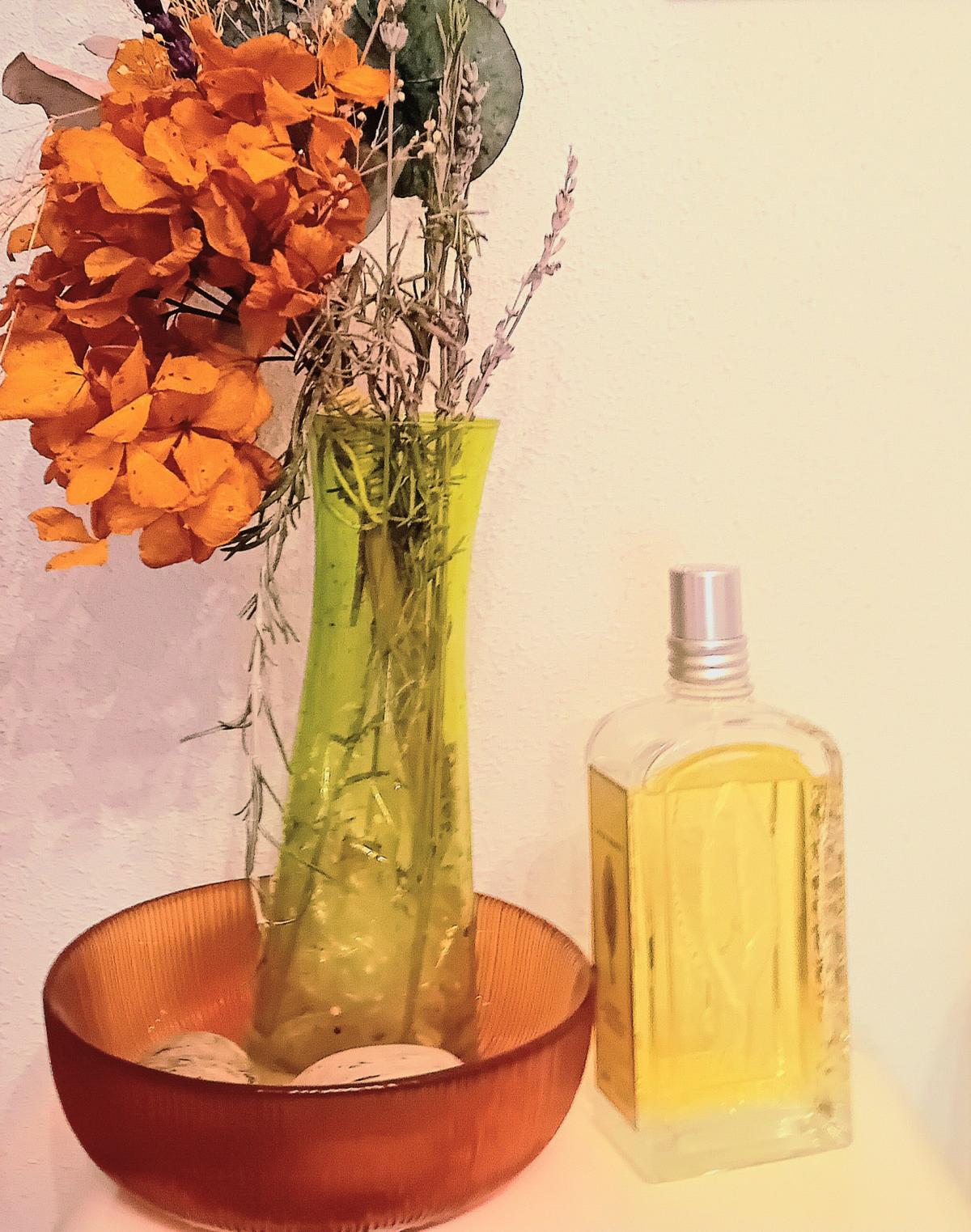 عطر ادکلن ورون آگریم دو هزار و پانزده لوکسیتان - Verveine Agrumes 2015 L'Occitane en Provence - بررسی، قیمت و خرید