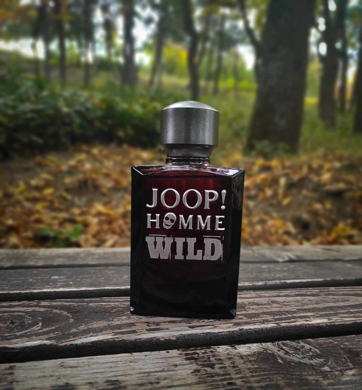 عطر ادکلن جوپ هوم وایلد جوپ - Joop! Homme Wild Joop! - بررسی، قیمت و خرید
