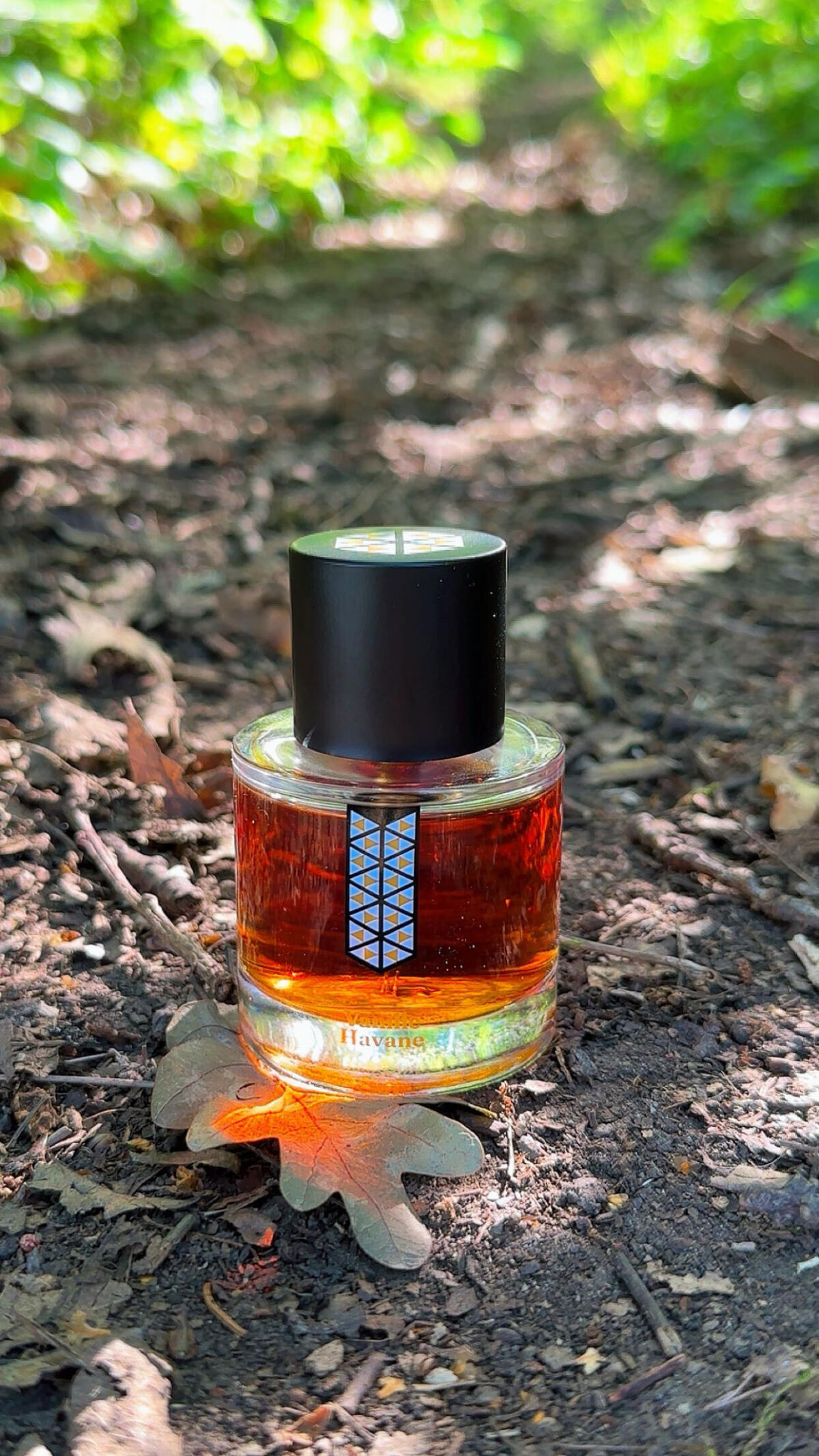 عطر ادکلن وانیل هاوانه لی زِ اِندمودابل - Vanille Havane Les Indemodables - بررسی، قیمت و خرید