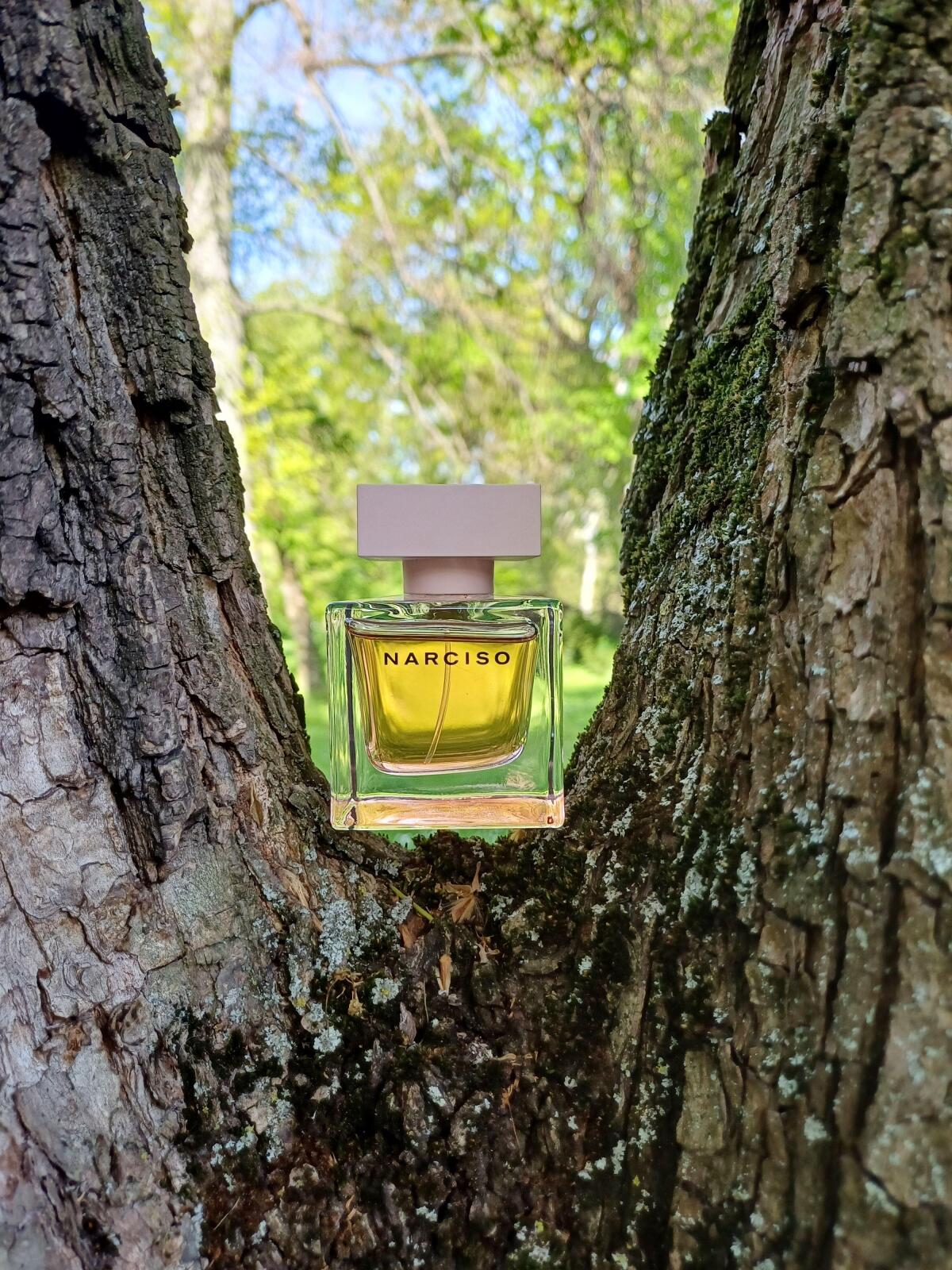 عطر ادکلن نارسیسو او دو پرفیوم کریستال نارسیسو رودریگز - Narciso Eau de Parfum Cristal Narciso Rodriguez - بررسی، قیمت و خرید