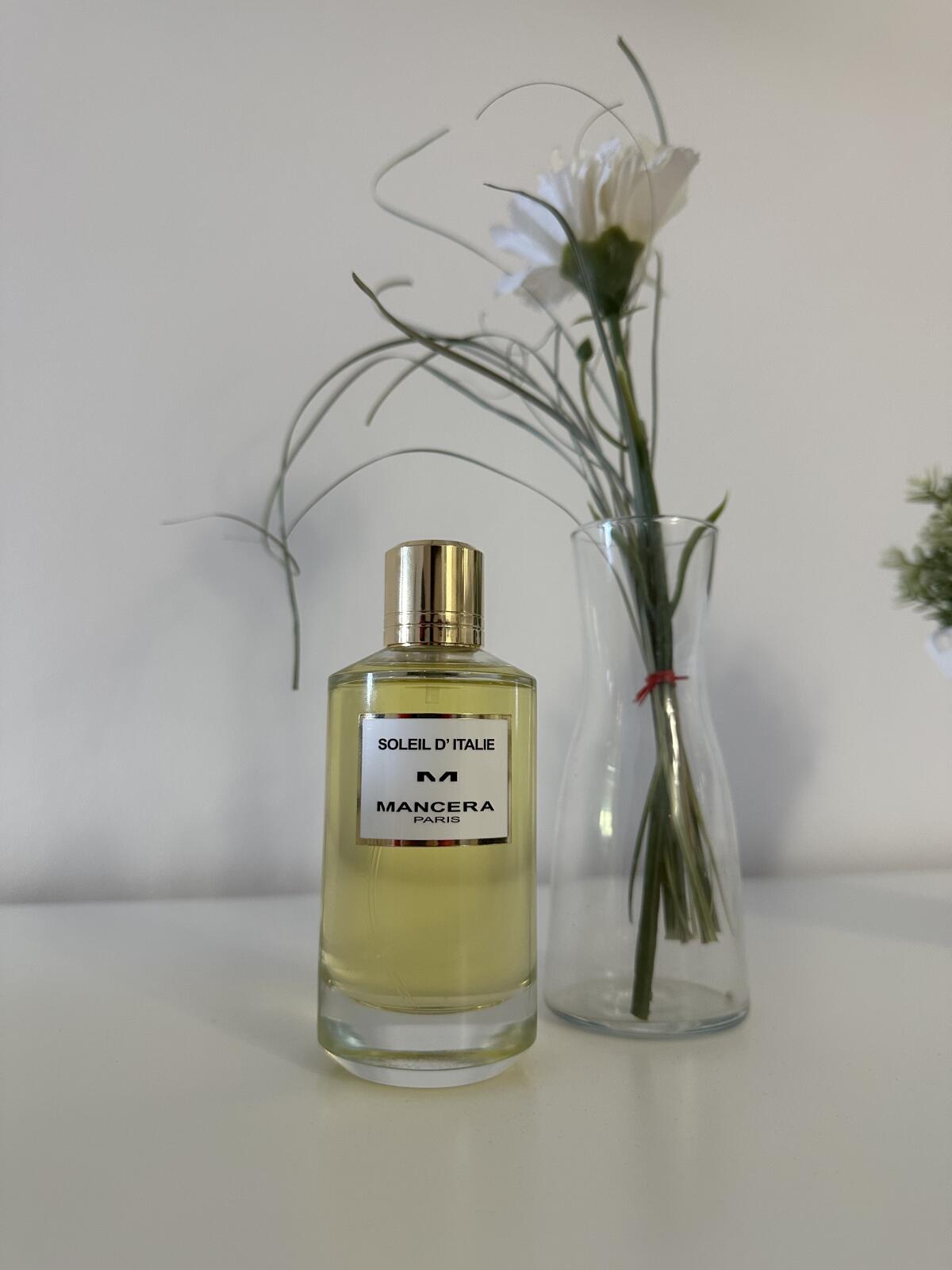عطر ادکلن سوله د ایطالیا مانسرا - Soleil d'Italie Mancera - بررسی، قیمت و خرید