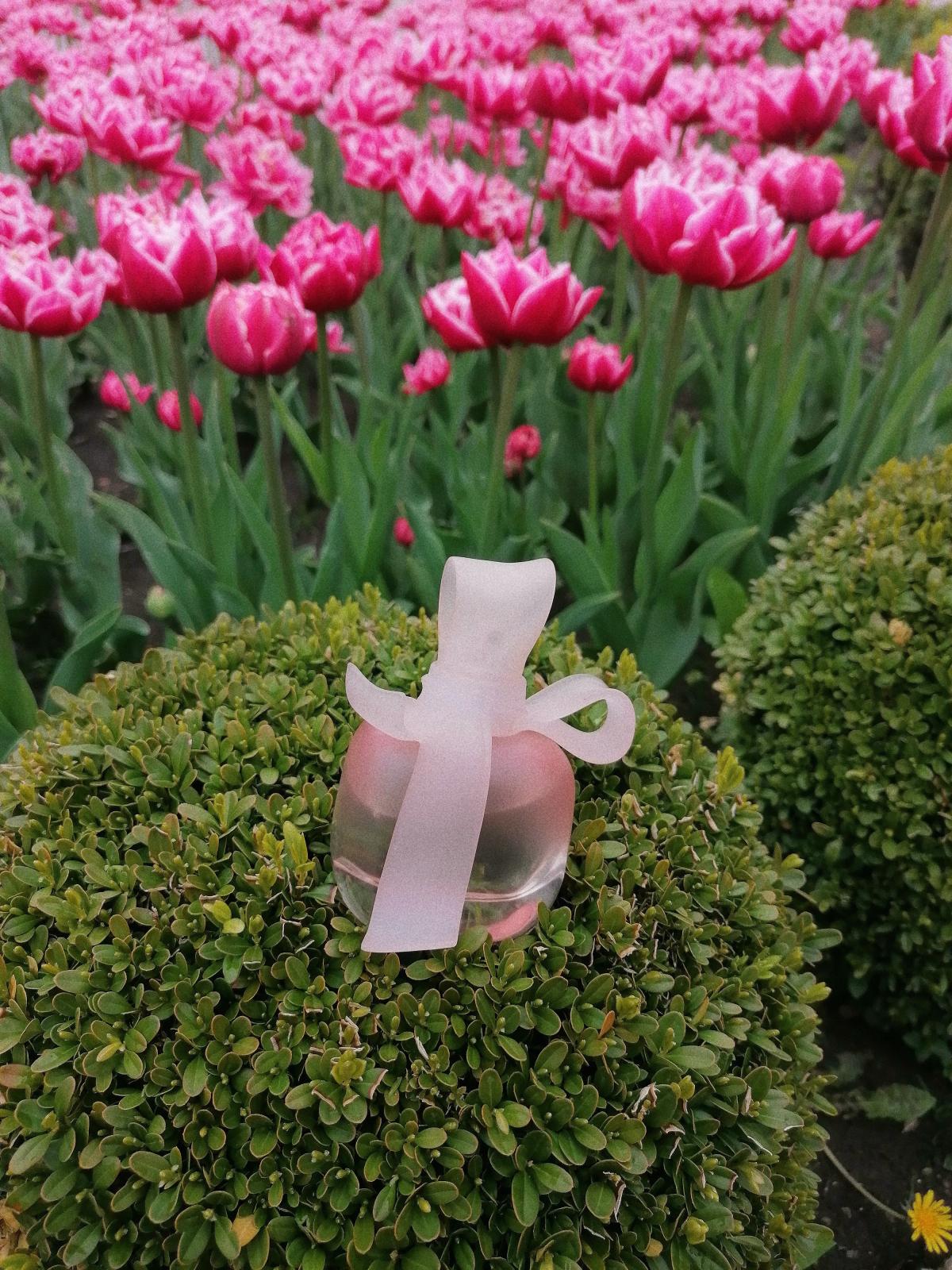 عطر ادکلن مادمازل ریکی لو نینا ریچی - Mademoiselle Ricci L'Eau Nina Ricci - بررسی، قیمت و خرید