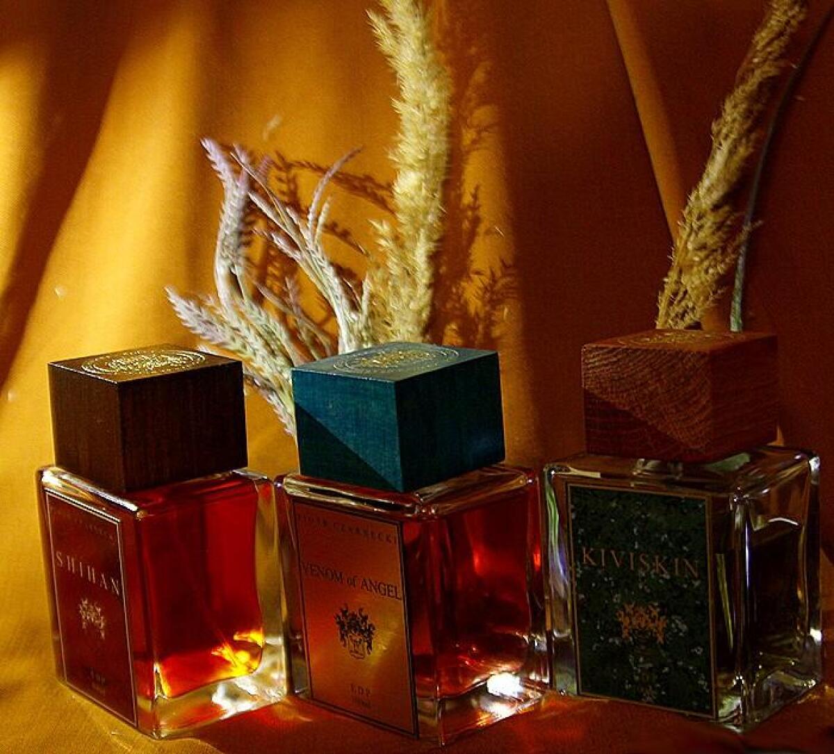 عطر ادکلن کیویسکین پیوتر چارنکی - Kiviskin Piotr Czarnecki - بررسی، قیمت و خرید