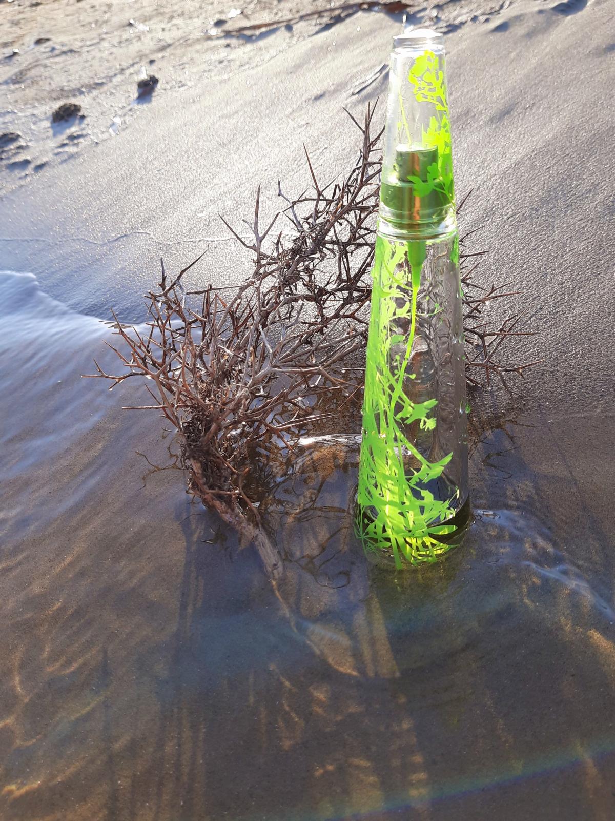 عطر ادکلن له دو ایسه سامر ۲۰۰۷ فم ایسی میاکی - L'Eau d'Issey Summer 2007 Femme Issey Miyake - بررسی، قیمت و خرید