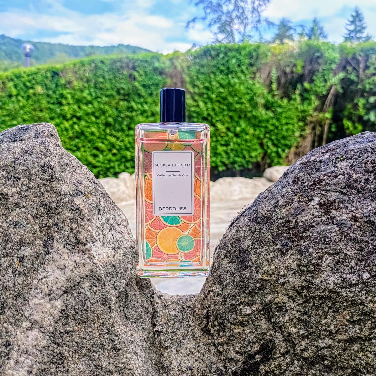 عطر ادکلن اسکورزا دی سیسیلیا پرفیومز بردوس - Scorza di Sicilia Parfums Berdoues - بررسی، قیمت و خرید