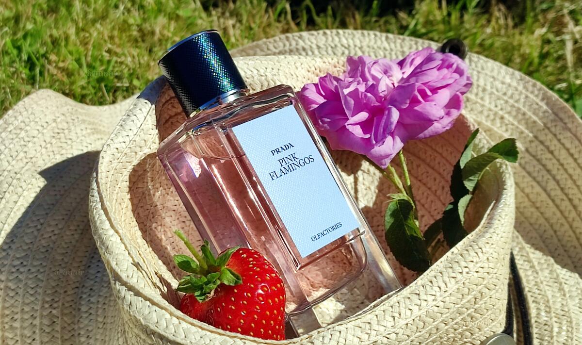 عطر ادکلن پینک فلامینگو پرادا - Pink Flamingos Prada - بررسی، قیمت و خرید