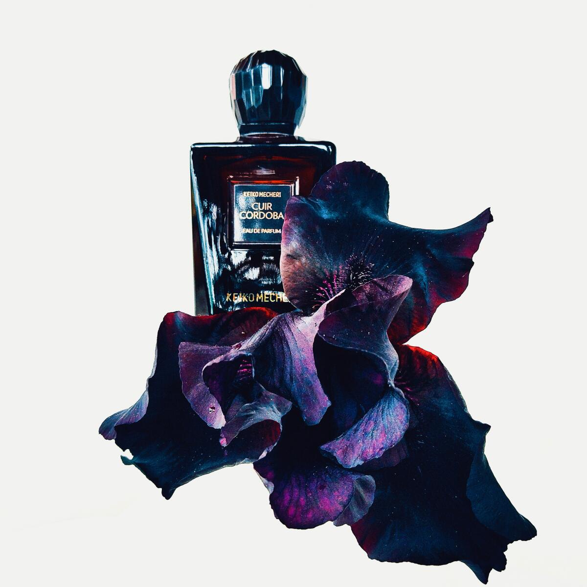 عطر ادکلن کوردوبا کوییر کیکو میکری - Cuir Cordoba Keiko Mecheri - بررسی، قیمت و خرید