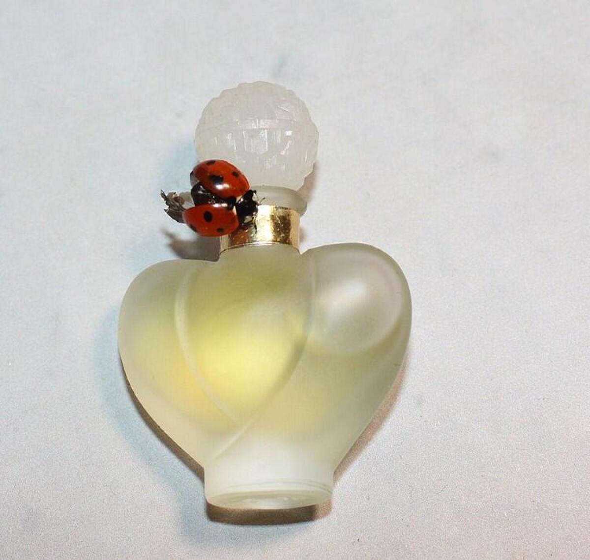 عطر ادکلن فروش نینا ریچی - Farouche Nina Ricci - بررسی، قیمت و خرید