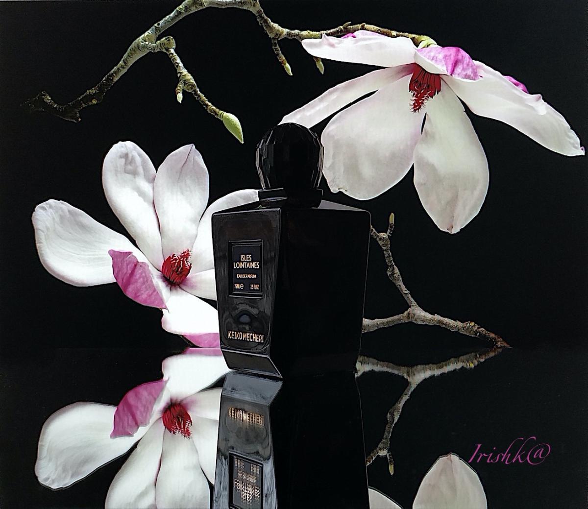 عطر ادکلن آیلز لوئینتن کیکو مشر - Isles Loîntaines Keiko Mecheri - بررسی، قیمت و خرید