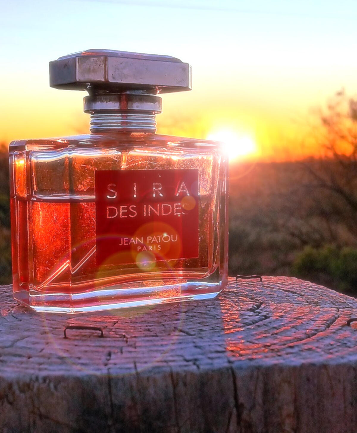 عطر ادکلن سیرا دز اندس ژان پَتو - Sira des Indes Jean Patou - بررسی، قیمت و خرید