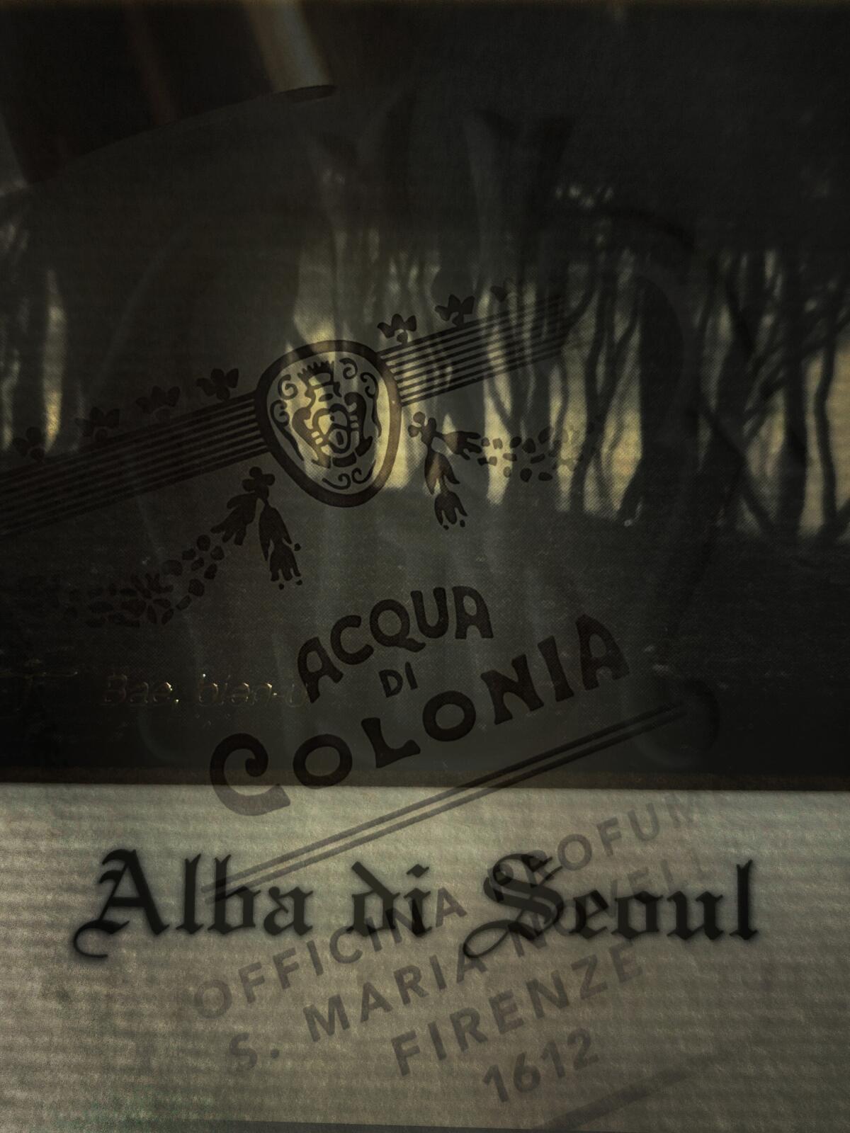 عطر ادکلن آلبا دی سئول سانتا ماریا نوولا - Alba di Seoul Santa Maria Novella - بررسی، قیمت و خرید